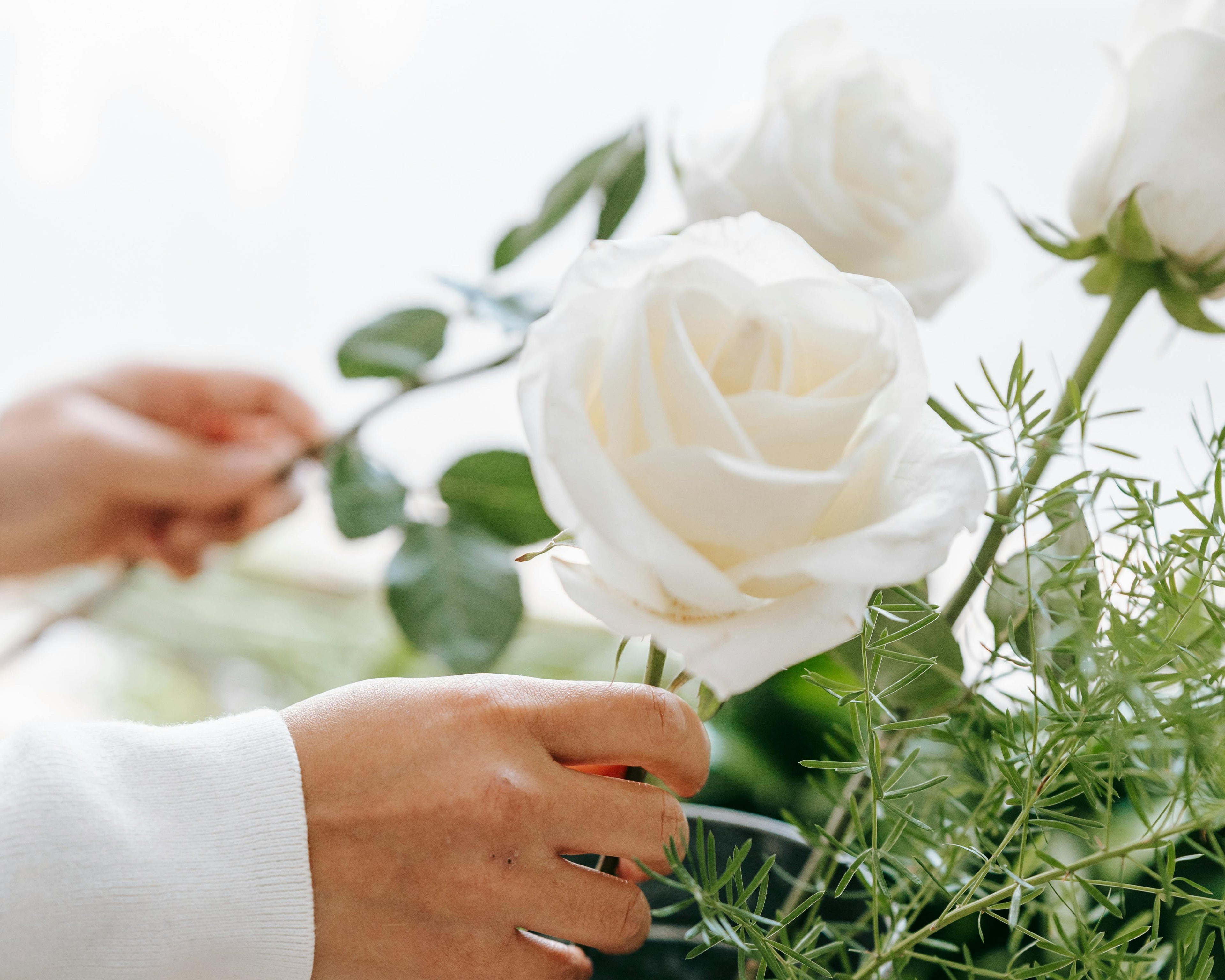 Person arranging flowers in a metal vase with a blurred background